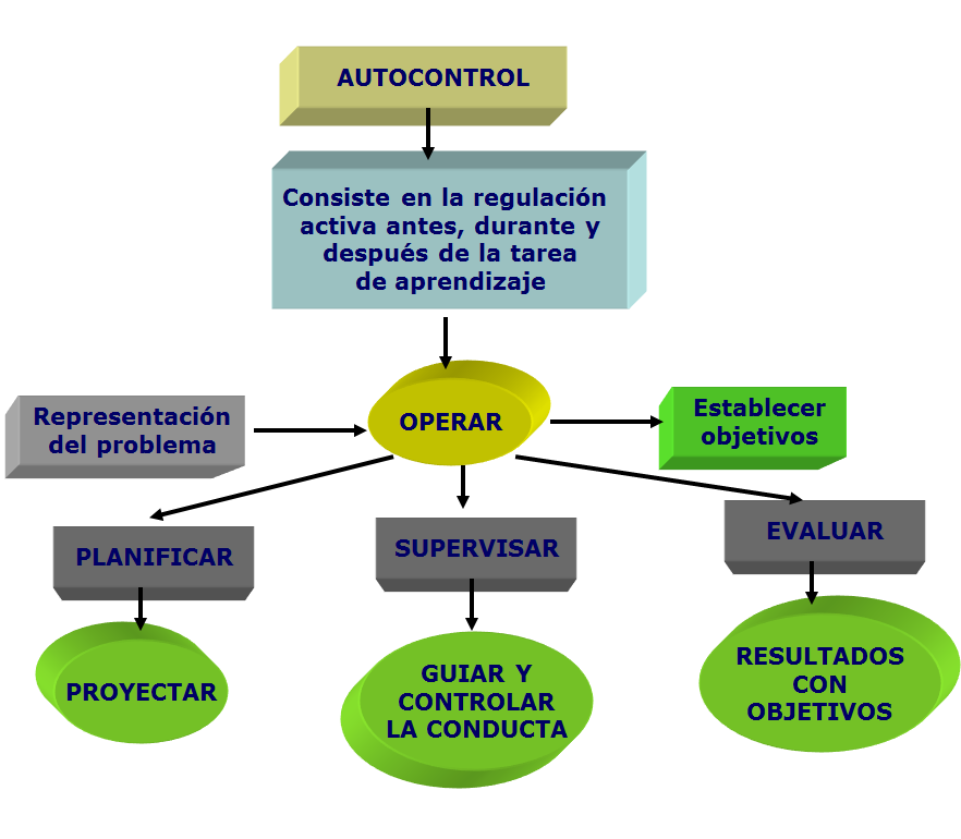  Las estrategias metacognitivas. 