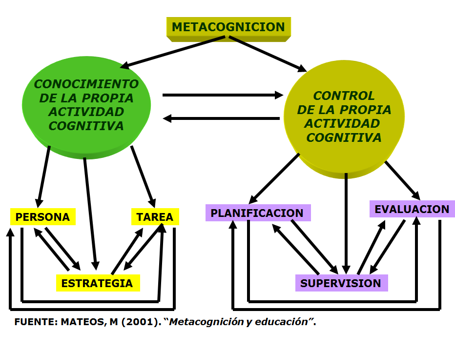  Las estrategias metacognitivas. 