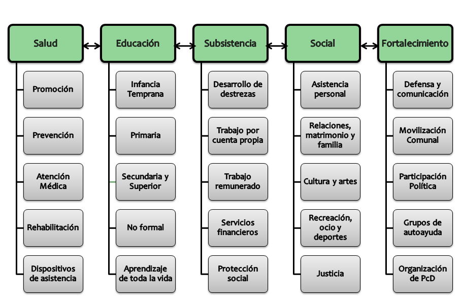 Discapacidad: Concepto de discapacidad. Tipos de discapacidad y criterios de identificación