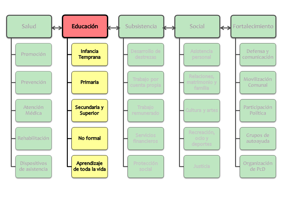 Discapacidad: Concepto de discapacidad. Tipos de discapacidad y criterios de identificación