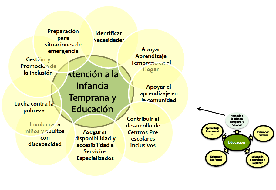 Discapacidad: Concepto de discapacidad. Tipos de discapacidad y criterios de identificación