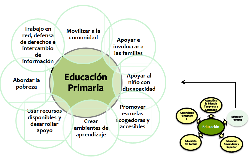 Discapacidad: Concepto de discapacidad. Tipos de discapacidad y criterios de identificación