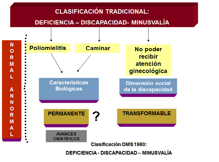 Discapacidad: Estadísticas demográficas y sociales. Enfoques de afronte de la discapacidad: modelo interpersonal, modelo social y modelo biopsicosocial.
