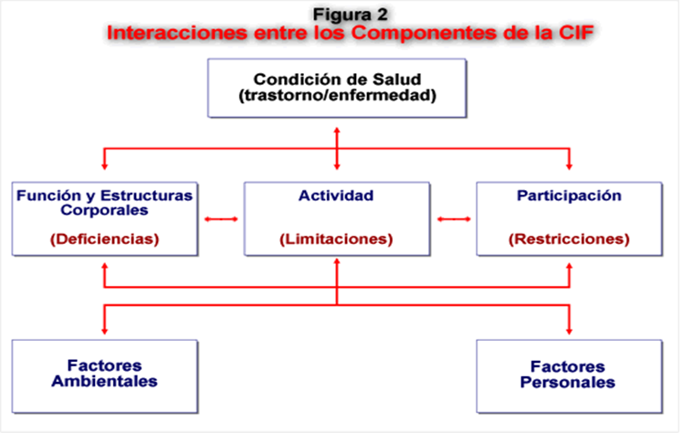 Discapacidad: Estadísticas demográficas y sociales. Enfoques de afronte de la discapacidad: modelo interpersonal, modelo social y modelo biopsicosocial.