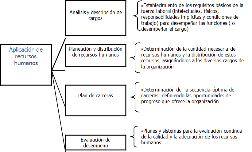 Plan de carrera y empleabilidad. La evaluación de los recursos y las competencias personales. La entrevista de trabajo.