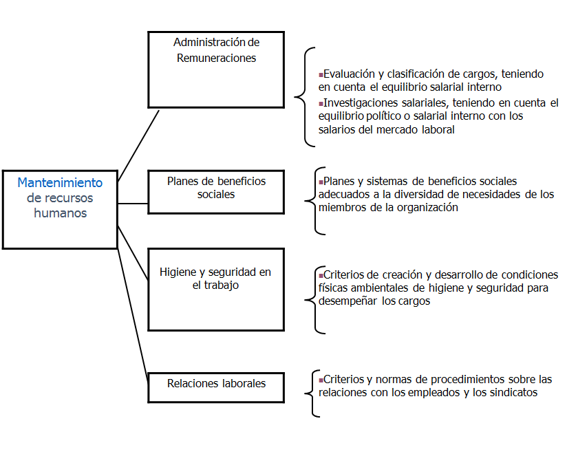 Plan de carrera y empleabilidad. La evaluación de los recursos y las competencias personales. La entrevista de trabajo.