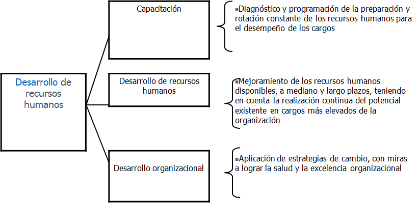 Plan de carrera y empleabilidad. La evaluación de los recursos y las competencias personales. La entrevista de trabajo.