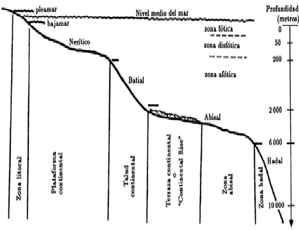 Define los conceptos, importancia y clasificación de la meteorología.