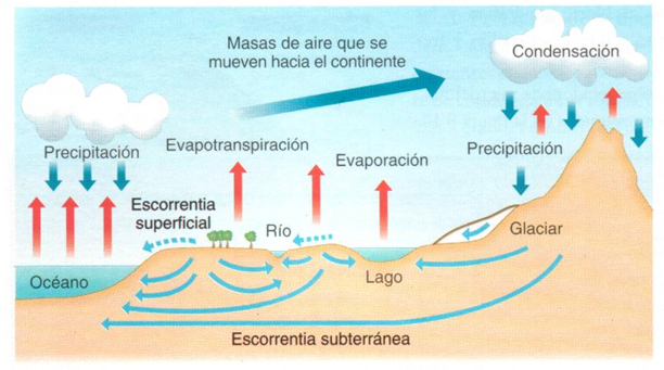 Define los conceptos, importancia y clasificación de la meteorología.