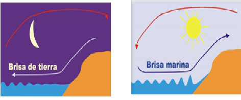 Define los conceptos, importancia y clasificación de la meteorología.