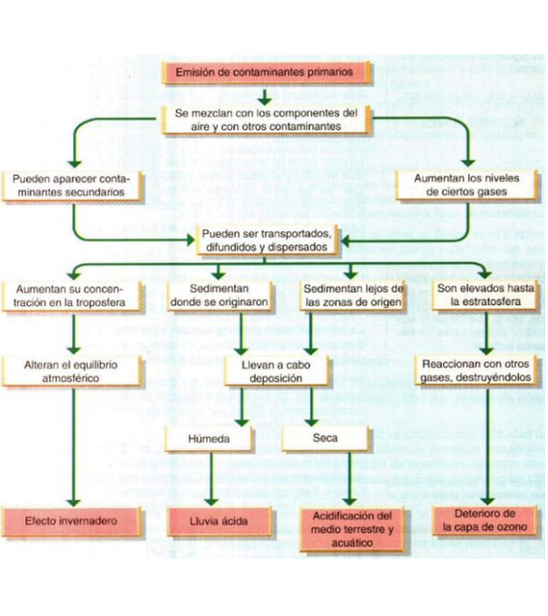 Describe la composición y estructura de la atmósfera.