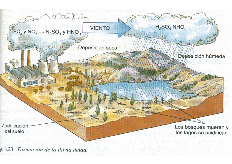 Describe la composición y estructura de la atmósfera.