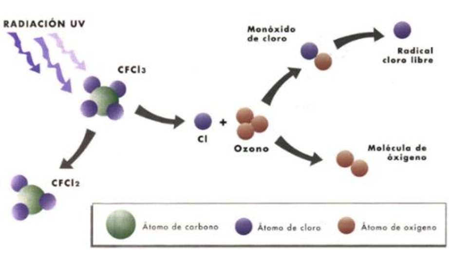 Describe la composición y estructura de la atmósfera.