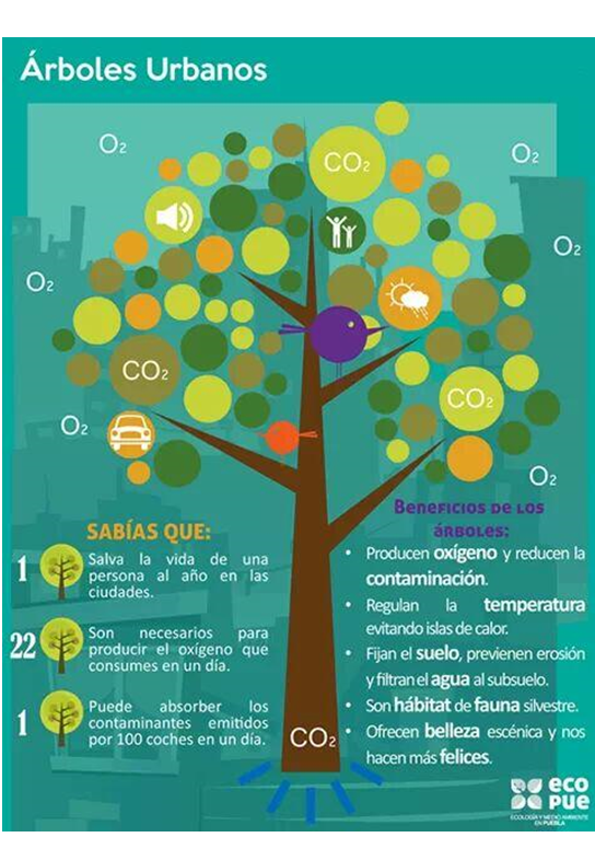 Describe la composición y estructura de la atmósfera.