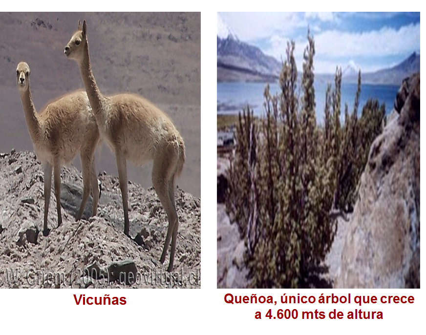 Define los elementos y factores del tiempo meteorológico.