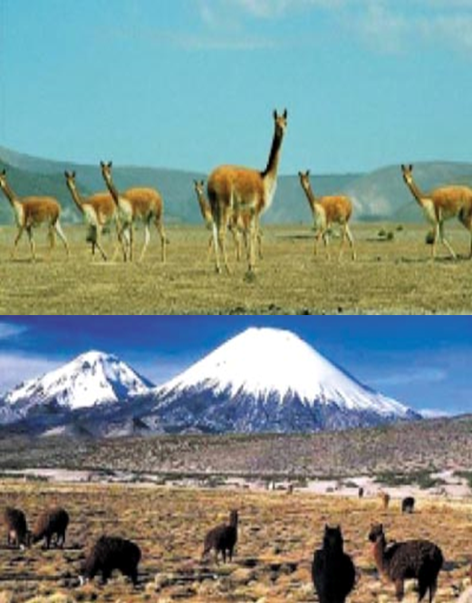 Define los elementos y factores del tiempo meteorológico.