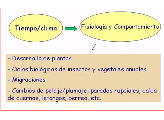 Identifica y explica las formas de expresar el grado de saturación del aire atmosférico por vapor de agua, viento atmosférico, clases y origen