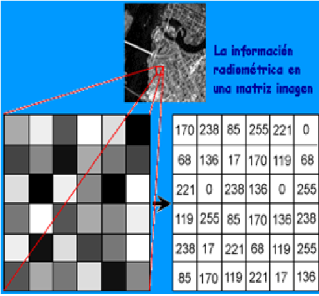 Define y explica la temperatura del aire y su variación temporal, horizontal y vertical.
