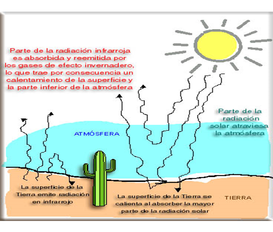 Conoce y explica la radiación neta en onda corta y en onda larga