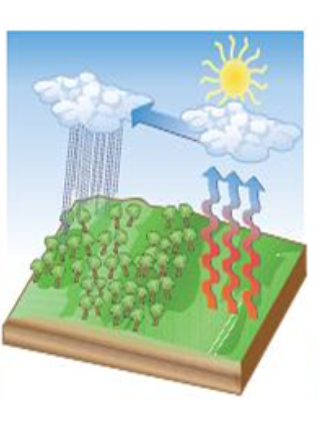 Define y nombra las escalas climáticas, y elementos y factores climáticos.