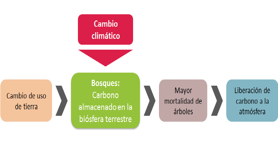 Analiza el balance hídrico climático