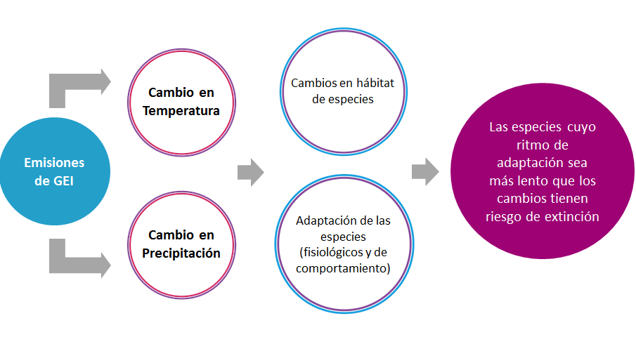 Analiza el balance hídrico climático