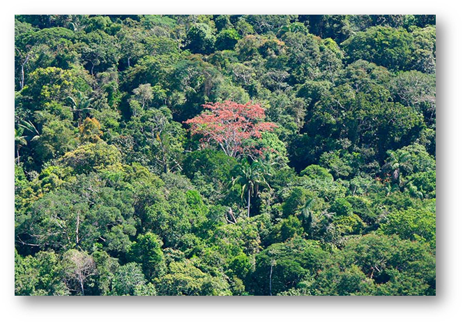 Analiza el balance hídrico climático
