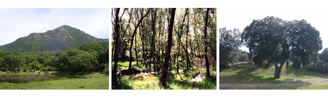 Identifica y explica la clasificación climática de Koppen, clasificación climática de Tornthwaite