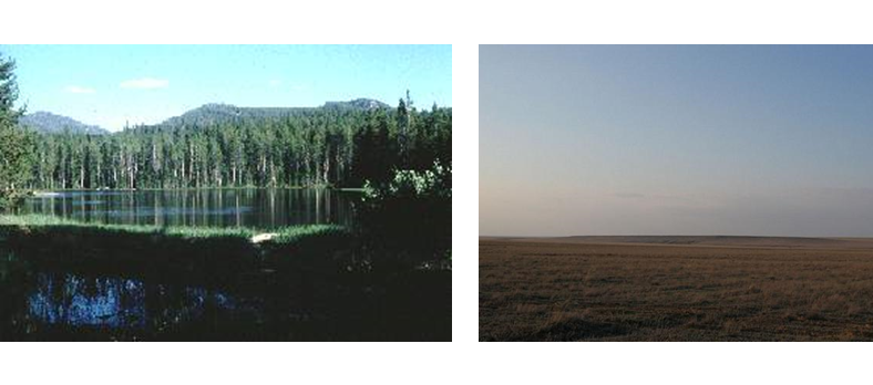 Identifica y explica la clasificación climática de Koppen, clasificación climática de Tornthwaite