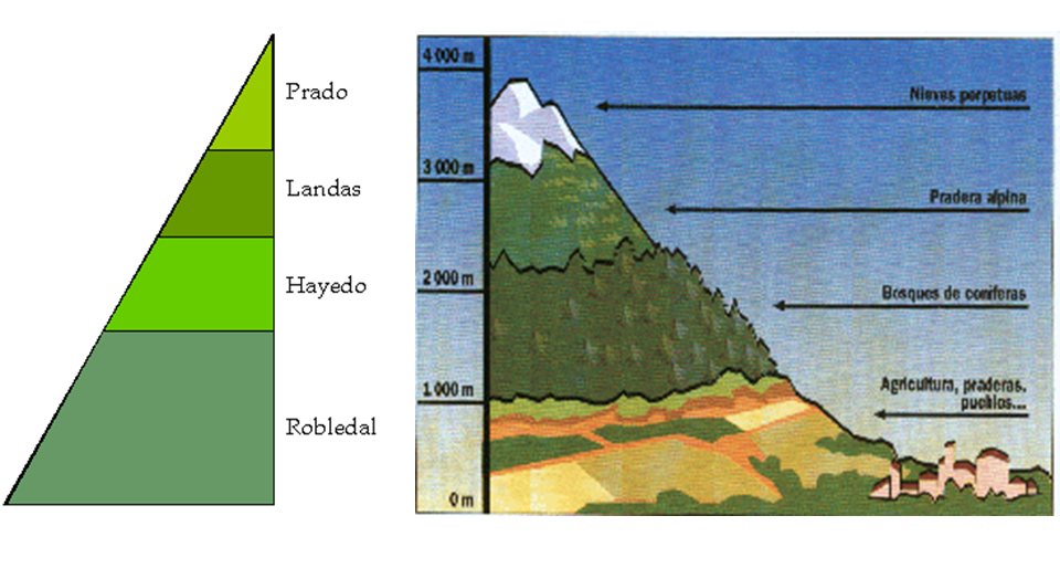 Identifica y explica la clasificación climática de Koppen, clasificación climática de Tornthwaite