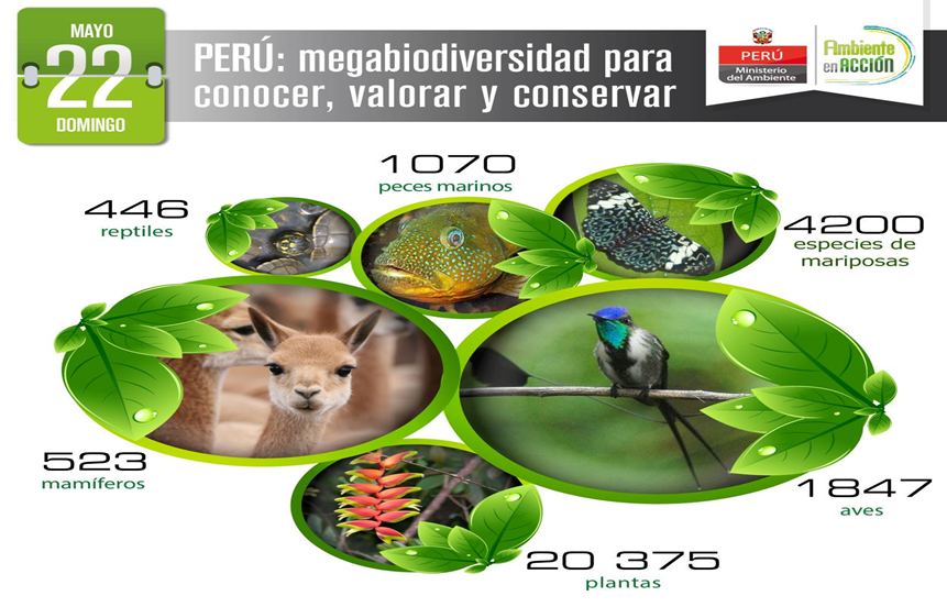 Generalidades sobre biodiversidad.