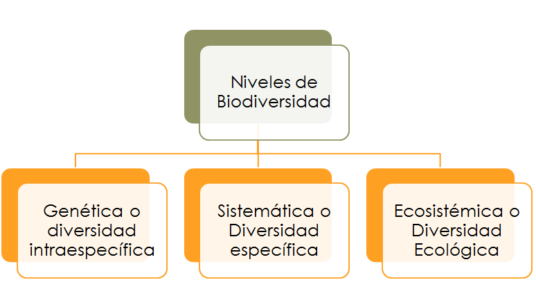 Generalidades sobre biodiversidad.