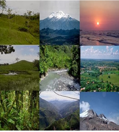 Generalidades sobre biodiversidad.
