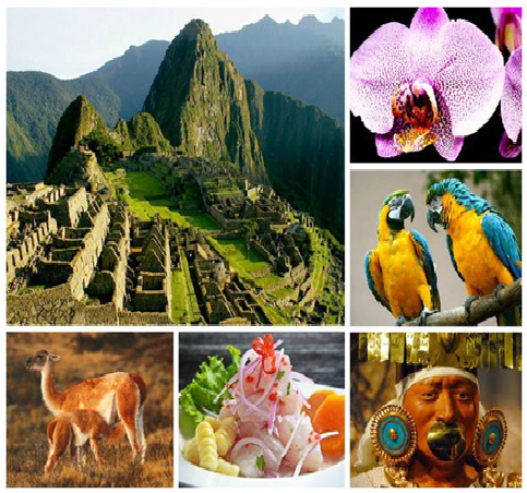 Generalidades sobre biodiversidad.