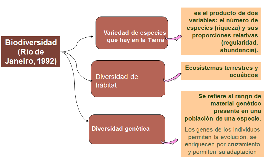 La biodiversidad de especies de flora y fauna, de las cuatro regiones biogeográficas de nuestro país. Visión general de las especies nativas (silvestres y domesticadas), exóticas y endémicas.