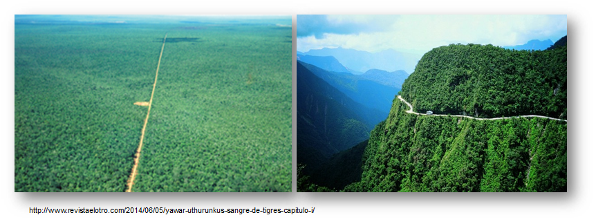 La biodiversidad de especies de flora y fauna, de las cuatro regiones biogeográficas de nuestro país. Visión general de las especies nativas (silvestres y domesticadas), exóticas y endémicas.