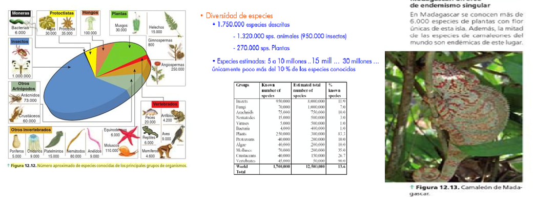 La biodiversidad de especies de flora y fauna, de las cuatro regiones biogeográficas de nuestro país. Visión general de las especies nativas (silvestres y domesticadas), exóticas y endémicas.