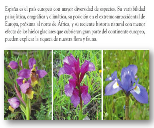 La biodiversidad de especies de flora y fauna, de las cuatro regiones biogeográficas de nuestro país. Visión general de las especies nativas (silvestres y domesticadas), exóticas y endémicas.