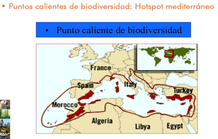 La biodiversidad de especies de flora y fauna, de las cuatro regiones biogeográficas de nuestro país. Visión general de las especies nativas (silvestres y domesticadas), exóticas y endémicas.