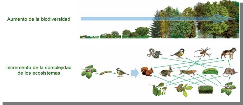 La biodiversidad de especies de flora y fauna, de las cuatro regiones biogeográficas de nuestro país. Visión general de las especies nativas (silvestres y domesticadas), exóticas y endémicas.
