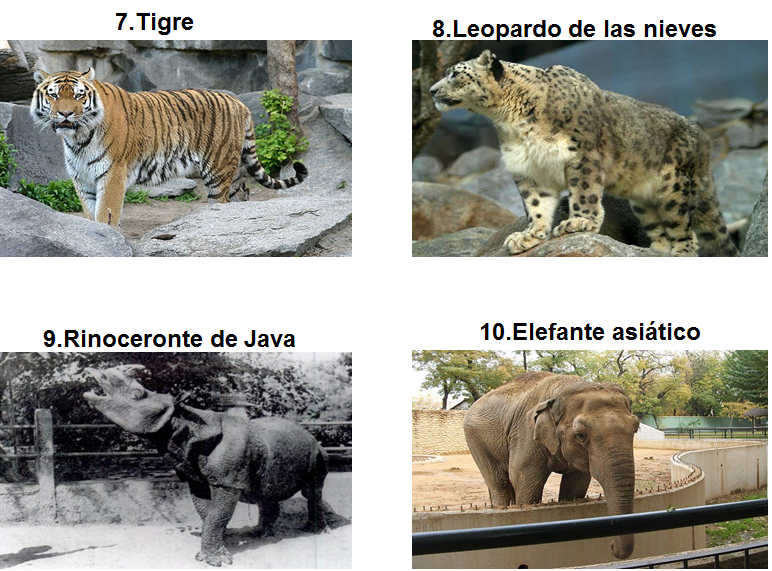 Especies animales en peligro de extinción: aves, mamíferos y reptiles; especies de flora silvestre en vías de extinción.