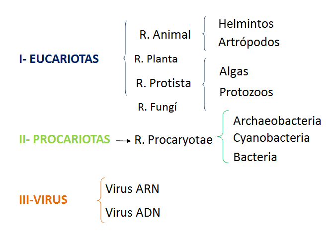 Explica la importancia de la microbiología