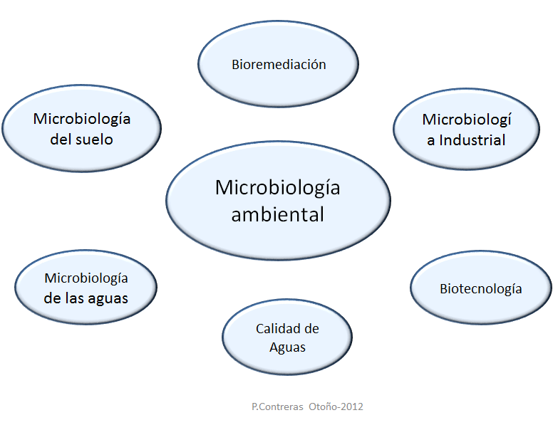 Explica la importancia de la microbiología