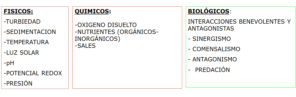 Explica la importancia de la microbiología