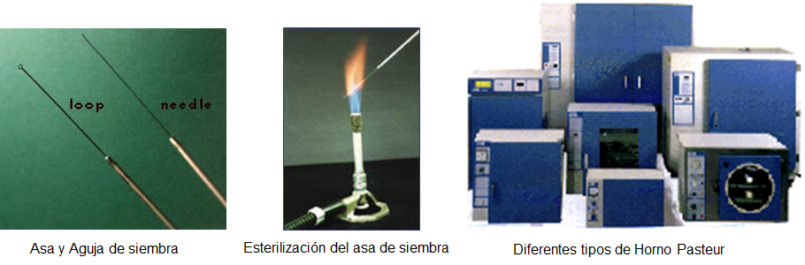Conoce la aplicación de las coloraciones bacterianas y métodos de esterilización.