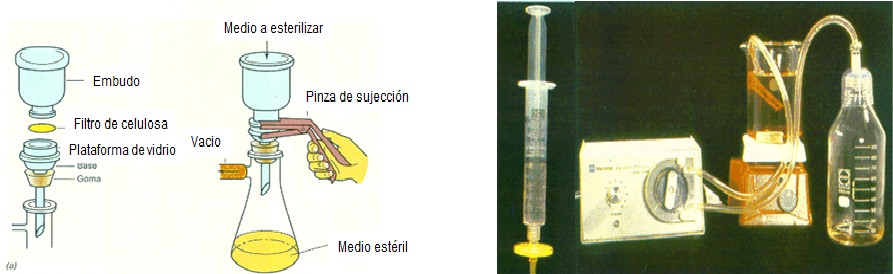 Conoce la aplicación de las coloraciones bacterianas y métodos de esterilización.