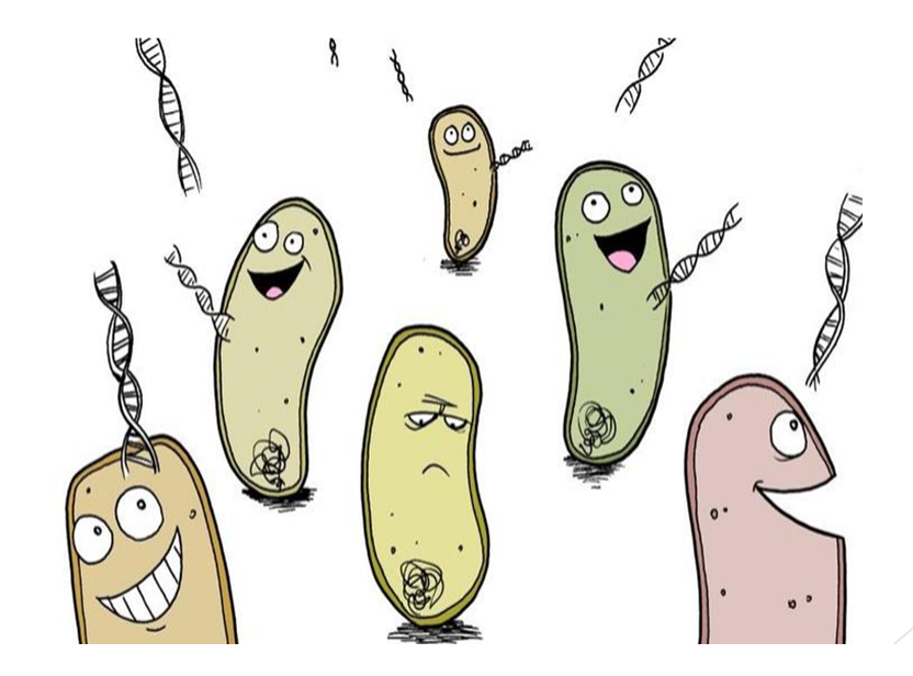 Comprende la genética microbiana