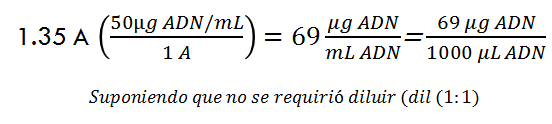 Comprende la genética microbiana