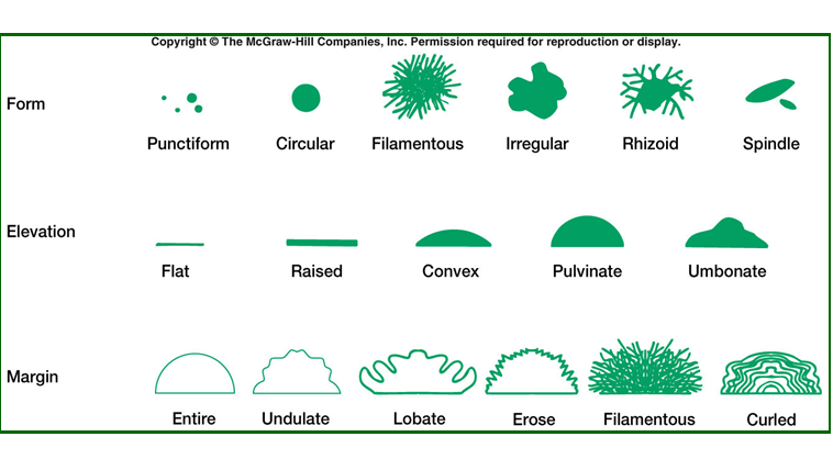 Evalúa los nutrientes necesarios para que el microorganismo pueda desarrollar y reproducirse