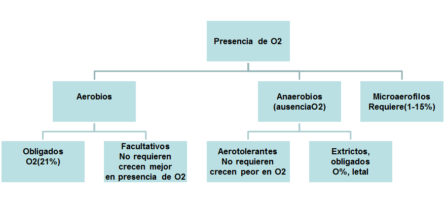 Comprende y conoce el crecimiento microbiano
